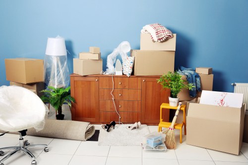 Checklist and packing materials for an organised home move